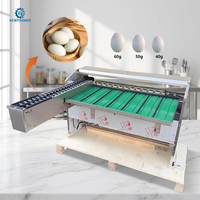 Machine de tri d'œufs automatique de haute précision avec une capacité de 5400 œufs par heure, trieuse et calibreuse d'œufs pour usine de transformation d'œufs