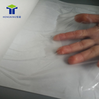 Film adhésif thermofusible HN pour le collage de tissus, cuir et métal sur les sièges, tapis, plafonds et panneaux de porte des intérieurs automobiles