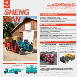 Sunsen电动3轮货运三轮车开式电动摩托车送餐用保暖三轮车triclo Electrico - Product Image 2
