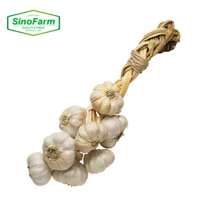 Normal White Garlic Elephant Garlic Fresh Garlic Cloves Price For Sale