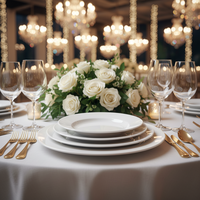 Assiette à dîner personnalisée en porcelaine blanche écologique avec bordure argentée/dorée pour hôtel/restaurant, usage domestique, OEM/ODM disponible, alimentaire