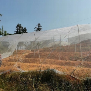 <span class=keywords><strong>Malla</strong></span> Antimosquitos de HDPE para Invernadero, Red de Protección para Uso Agrícola - Product Image 3