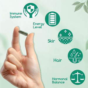 Ondersteuning Chlorofyl Supplement Natuurlijke Chlorofyl Pillen Chlorofyl Capsules - Product Image 5