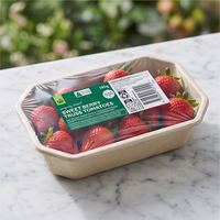Filmlamineerde composteerbare suikerrietbagasse vezel wegwerpbaar vlees- en fruitplateau voor supermarkten