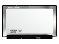 BOE EV133FHM-N40 ADS eDP1.4 13.3 İnç 1920*1080 FHD TFT LCD Modül 300cd 3H Mat Tıbbi Sağlık Ekranı