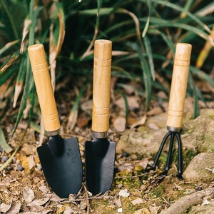 Ensemble de trois outils de jardinage en fer avec manche en bois pour la plantation et le desserrage du sol, utilisation intérieure et extérieure - Product Image 4