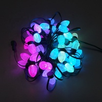 Modules de pixels LED S24 C9 adressables WS2811 DC12V IP65 PVC; 50 pièces/brin; tout fil vert et boîtier