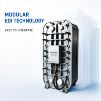 Module d'électrodéionisation EDI 500L/H, machine de traitement d'eau ultrapure, installation facile pour l'électronique et les semi-conducteurs