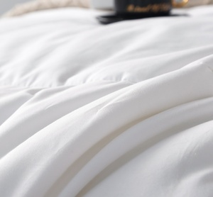 Tùy Chỉnh Thực Hiện Hiện Đại Mới Nhất Thiết Kế Bông Thêu Tất Cả Các Mùa Quilt Bộ Đồ Giường Mềm Mại Cho Khách Sạn Sử Dụng 300tc Chủ Đề Đếm 3-Mảnh - Product Image 3