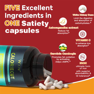 Suplementos supresores del apetito para adultos de alta calidad, cápsulas de plenitud para perder peso, soporte para el metabolismo, producto de belleza en stock - Product Image 6