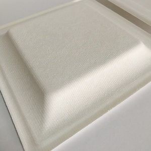 Vente en gros Assiette carrée en pâte à papier biodégradable et compostable écologique - Product Image 4