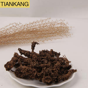 <span class=keywords><strong>Valeriana</strong></span> <span class=keywords><strong>de</strong></span> Alta Calidad para Medicina China, Raíz <span class=keywords><strong>de</strong></span> <span class=keywords><strong>Valeriana</strong></span> al Por Mayor al Mejor <span class=keywords><strong>Precio</strong></span> - Product Image 4