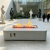 Brasero d'extérieur, foyer de jardin, brasero de patio, brasero de cour, brasero de barbecue, brasero de camping, brasero chauffant, foyer extérieur