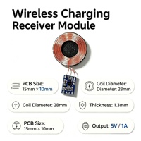 Module récepteur de charge sans fil RX01 OEM, sortie 5V 1A, pour carte de chargeur sans fil, pour appareil portable, pour étui d'écouteurs