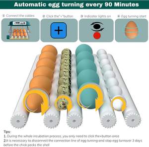حاضنة بيض أوتوماتيكية بسعة 16 بيضة مع تقليب وترطيب لبيض الدجاج والسمان، بلاستيكية 220 فولت - Product Image 5