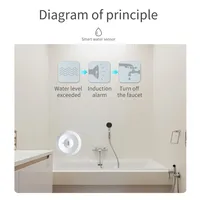 Zigbee Su Sensörü Taşma Kaçağı Dedektörü Uygulaması Mutfak/Banyo için Uzaktan İzleme Desteği Ev Asistanı Zigbee2mqtt