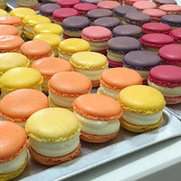 Machine à biscuits macarons pour petites entreprises