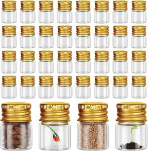 Glass Bottles 5 ml Mini Glass Bottles Small Glass Vials Specimen Jars Tiny Containers for DIY Art Craft Storage