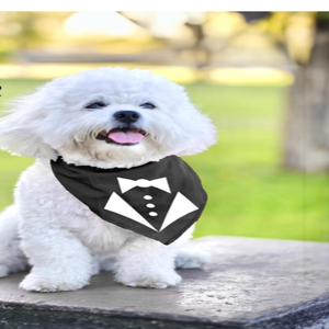 Bandana pour chien ajustable unisexe, mouchoir triangle, bavoir jaune imprimé «Born Run», accessoire de vêtements pour animaux de compagnie lavable et mignon - Product Image 4