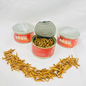 Suministro a Granel de <span class=keywords><strong>Gusanos</strong></span> de Harina Amarillos Congelados Frescos, Proteína de Insectos Natural Sin Aditivos, Alimento para Mascotas - Product Image 3
