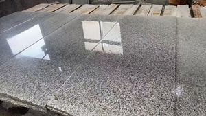 High-Quality Economic G603 Gray-White <strong>Granite</strong> Building Material <strong>Granite</strong> <strong>Slabs</strong> Cut Into Strips for Indoor and Outdoor Countertops - Product Image 2