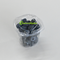 Offre Spéciale : Pot à Myrtilles de 4,4 oz en PET avec Couvercle Transparent pour Fruits