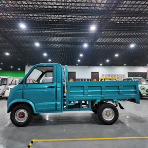Mini camionnette électrique 4x4 tout-terrain, capacité de charge de 1000 kg, 2 places, camionnette électrique de livraison pour la ferme, certifiée EEC, directement de l'usine - Product Image 3