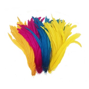 Plumas <span class=keywords><strong>de</strong></span> Gallo Blanqueadas <span class=keywords><strong>de</strong></span> 30-45 cm <span class=keywords><strong>de</strong></span> Largo, Plumas <span class=keywords><strong>de</strong></span> Gallo por <span class=keywords><strong>Kilo</strong></span> - Product Image 1