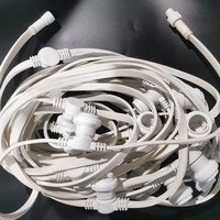 Guirlande lumineuse LED dimmable extérieure IP65, 100m, 250 prises, câble plat en caoutchouc robuste résistant aux intempéries, idéale pour Noël - Grande Vente
