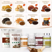 Mélange de poudre d'extrait de champignons Maitake, Chaga, Crinière de lion, Ganoderma Lucidum Reishi, marque privée