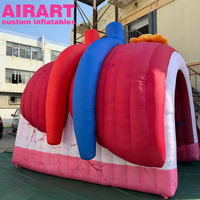 Accessoires de décoration pour activités : Canaux hépatiques gonflables, Canaux rénaux gonflables pour exposition