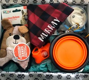 2025 taza de café personalizada perro Bandana masticar juguetes juego de regalo juguetes para mascotas para compañeros caninos leales - Product Image 4