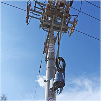 Unité de terminaison extérieure Shubang 100V 50Hz de haute qualité FTU avec réenclencheur automatique et contrôleur VCB SDD510-F30 IP54/IP65