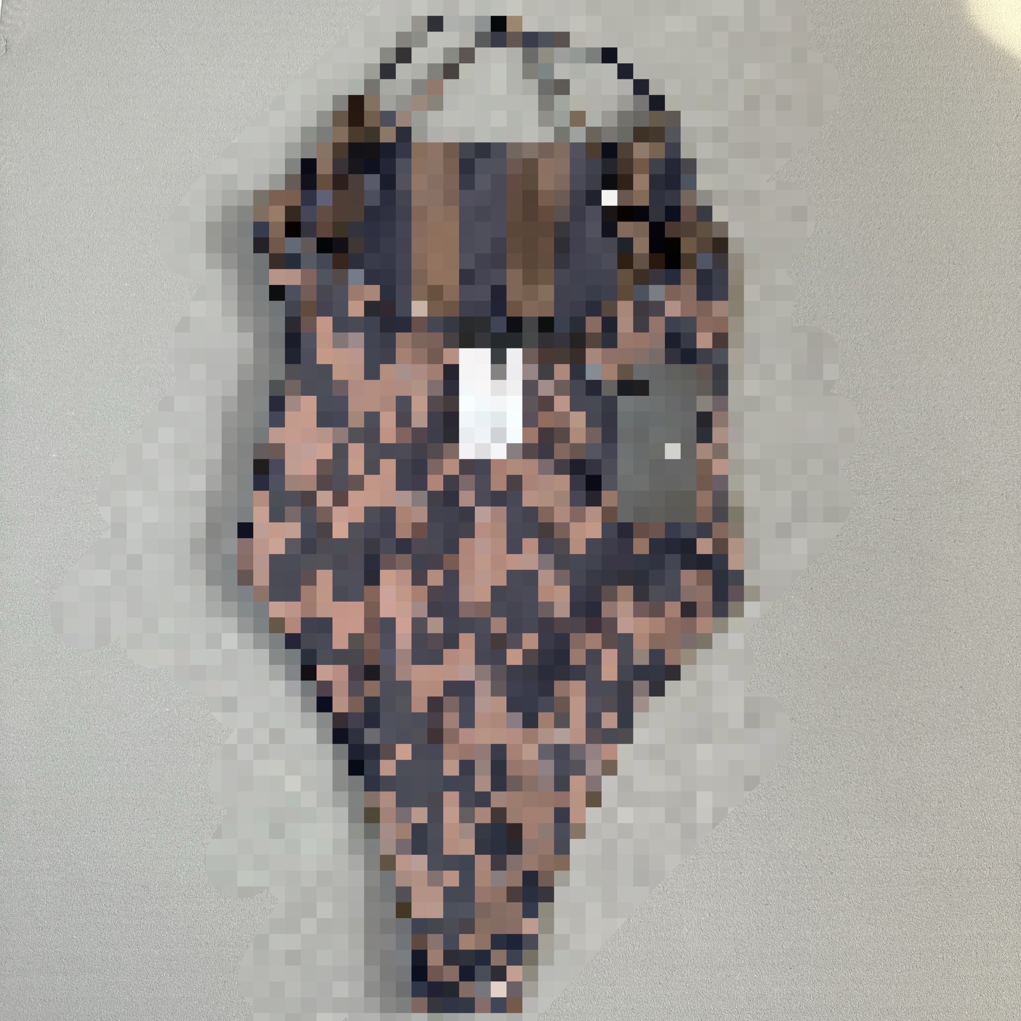 Une pièce marron