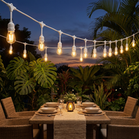 Ampoules LED Edison S14 vintage, robustes, étanches IP65, connectables, pour extérieur, café, mariage, fête, jardin, guirlande lumineuse