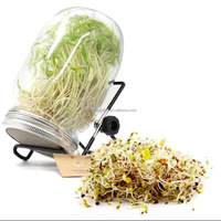 Bocal en verre Mason à large ouverture en acier inoxydable avec couvercle germinateur et support en maille pour la germination des graines