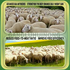 I multivitaminici per gli additivi per mangimi per bestiame da corsa di cavalli promuovono la crescita e migliorano l'immunità - Product Image 4