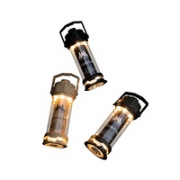 Lampe LED portable multifonctionnelle pour camping et extérieur, type Firefly, pour tente, usage domestique et d'urgence, 1,5 V, IP44, intensité réglable, garantie 1 an