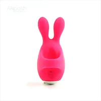 G-Punkt Massage gerät Bullet Clitoris Stimulator für Anfänger Vibrierende Ei Sexspielzeug für Frau Sex Produkte