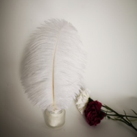 Großhandel Hot Sale Big Original Straußen feder Gelb Rosa Lila Weiß Straußen feder Für Home Party Deco