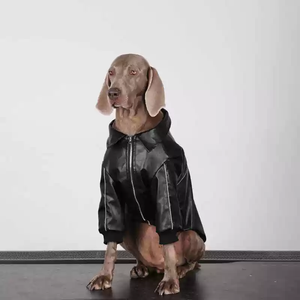 Chaqueta de Cuero Negra para Perro, Estilo Motero, Gruesa, Resistente al Viento, Abrigo de Invierno para Labrador, Golden Retriever, Samoyed - Product Image 1