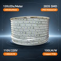 Bande lumineuse LED 120 LED 8MM 2835, 110V 220V, sans fil, double ligne, IP65, étanche, recouverte de PVC, éclairage extérieur