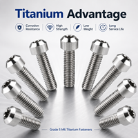 Baut Presisi dari Paduan Titanium Kelas 5 M6 Torx Square Drive dengan Panjang Kustom 10-80mm untuk Aplikasi Kendaraan.