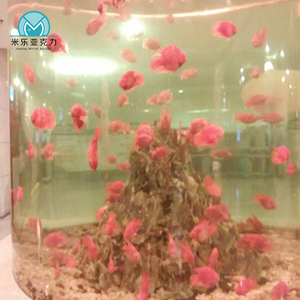 <span class=keywords><strong>Aquarium</strong></span> personnalisé en acrylique cylindrique de grande taille et de haute qualité, bon marché, ensemble <span class=keywords><strong>aquarium</strong></span> - Product Image 2