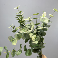 Faux Fleurs Fournitures Real Touch Feuille Branche Artificielle Eucalyptus Tige Verdure Soie Graines Artificielle Eucalyptus 85254