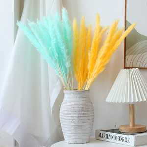 G45 Fluffy Pampas Grass Festival Adornos de Navidad Boda Flor seca esponjosa Reed Grass Real Natural Wild Luxury Pampas - Product Image 4