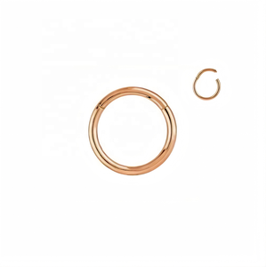 Anneau segmenté articulé en titane poli uni pour <span class=keywords><strong>piercing</strong></span> corporel, vente en gros - Product Image 3