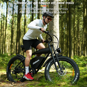 26 Bánh Xe Kích Thước Xe Đạp Leo Núi Hidoes <span class=keywords><strong>B3</strong></span> 1200W Điện Leo Núi Fatbike Nhôm Khung Hợp Kim Xuống Ống Pin Đĩa Phanh Hệ Thống - Product Image 4