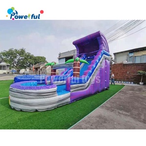 Tobogán Acuático Inflable Comercial con Forma de Palmera, Tobogán Inflable con Piscina - Product Image 4