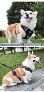 Pequeno médio grande tamanhos cão arnês fabricantes impermeável cão andando correndo arnês - Product Image 6